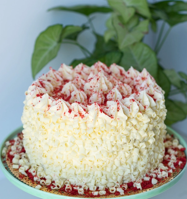 Cheese cake Relvevet